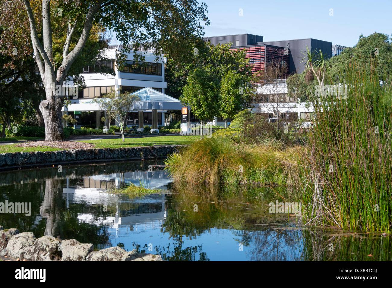 Auckland University of Technology, South Campus, Manakau, Auckland, Nordinsel, Neuseeland Stockfoto