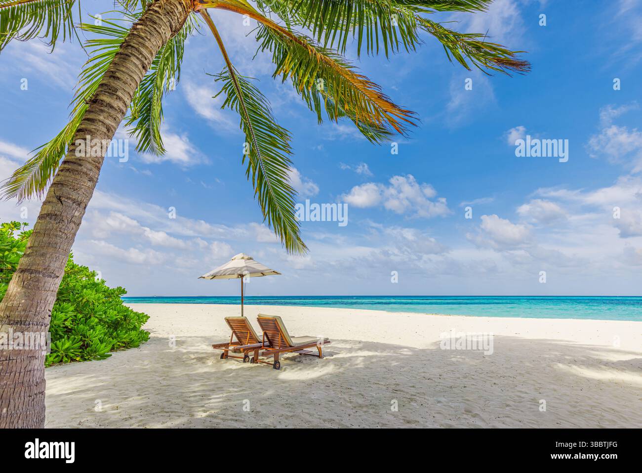 Liegestühle Sonnenschirm Palmen Blätter Nahaufnahme auf Sandstrand mit ruhigem Meereshimmel fantastisch entspannend friedliche Natur Tapeten Hintergrund Stockfoto