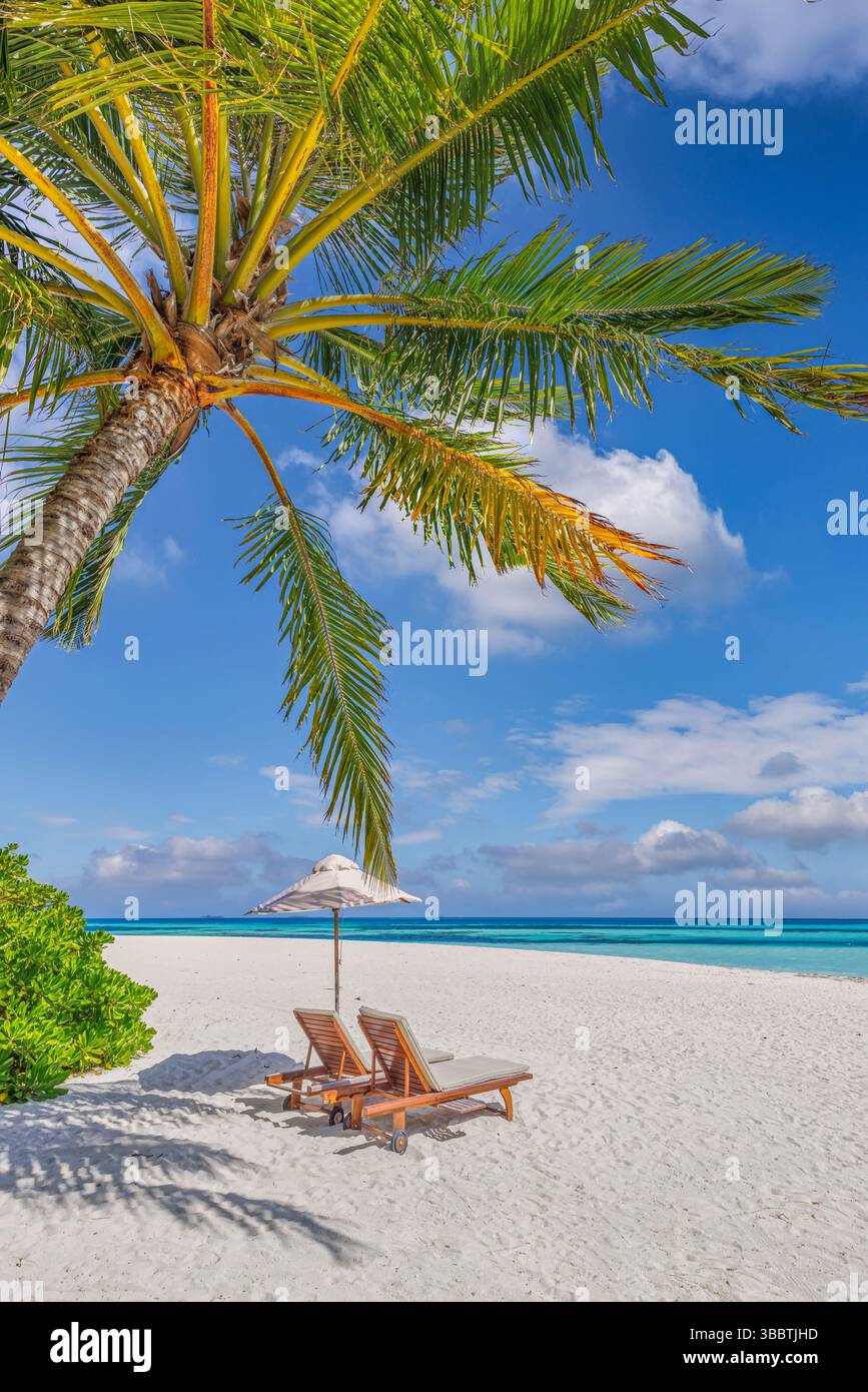 Liegestühle Sonnenschirm Palmen Blätter Nahaufnahme auf Sandstrand mit ruhigem Meereshimmel fantastisch entspannend friedliche Natur Tapeten Hintergrund Stockfoto