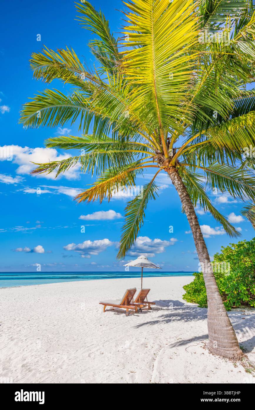 Liegestühle Sonnenschirm Palmen Blätter Nahaufnahme auf Sandstrand mit ruhigem Meereshimmel fantastisch entspannend friedliche Natur Tapeten Hintergrund Stockfoto