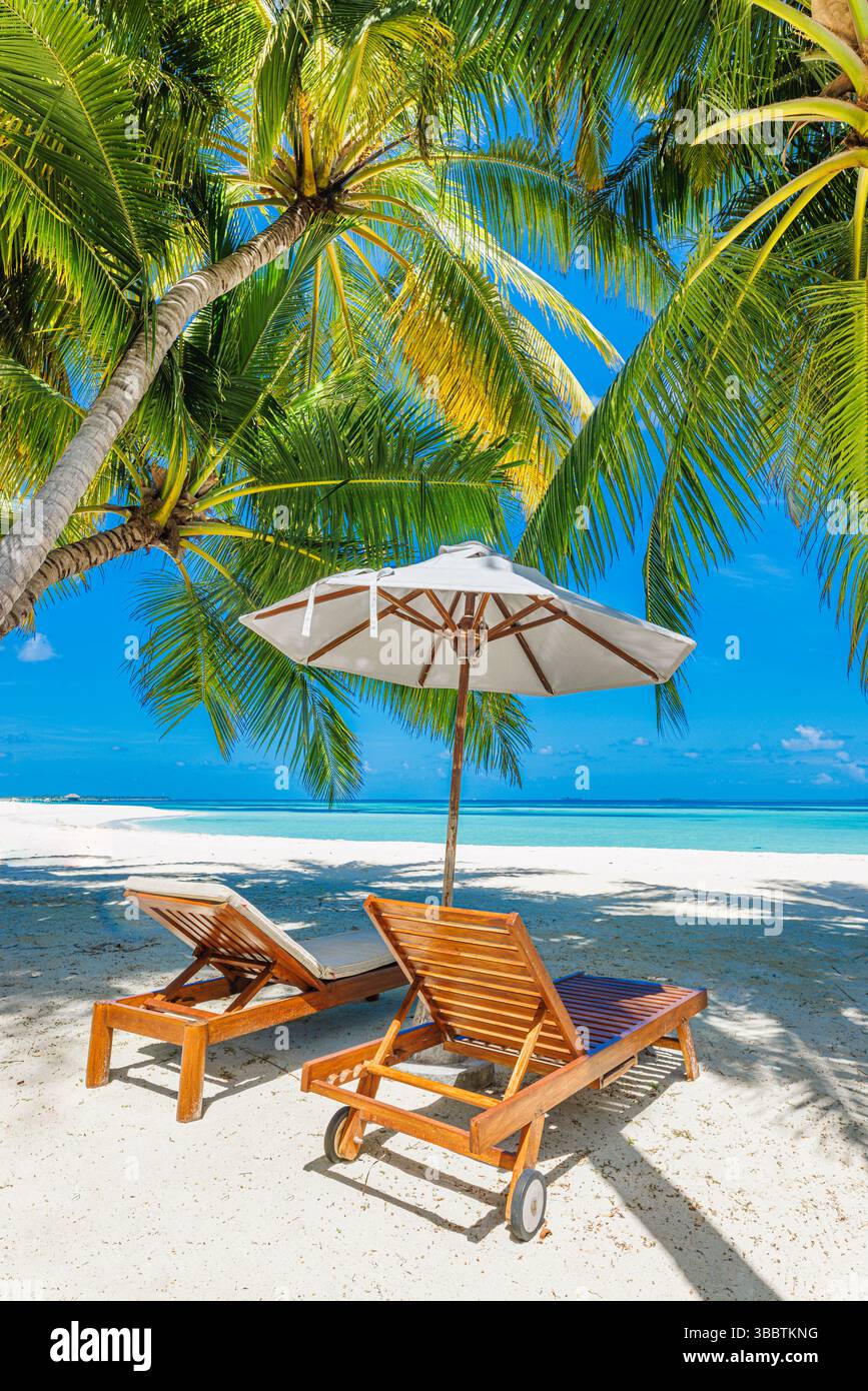 Sonniger Strand Traumszene Stühle Sonnenschirm auf Sand romantisches Paar unter Palmblättern Liebesziel malerische tropische Küste Sommerurlaub Landschaft Stockfoto