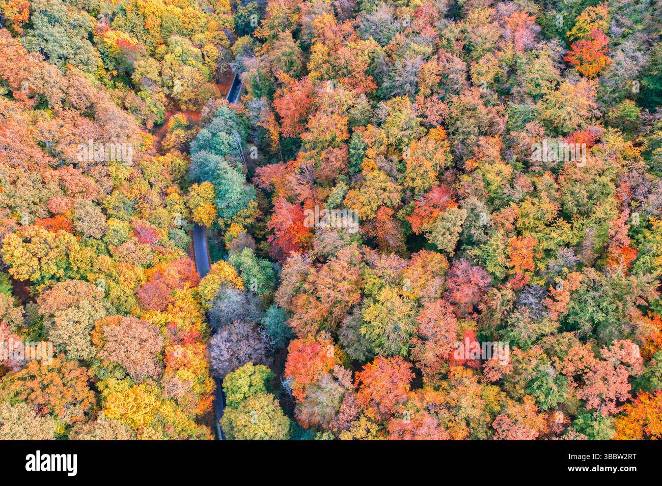 Wunderschöne herbstliche Luftlandschaft mit malerischen bunten Blättern und Bäumen, saisonaler Naturblick, ruhiger landschaftlicher Hintergrund des lebendigen Herbstwaldes Stockfoto