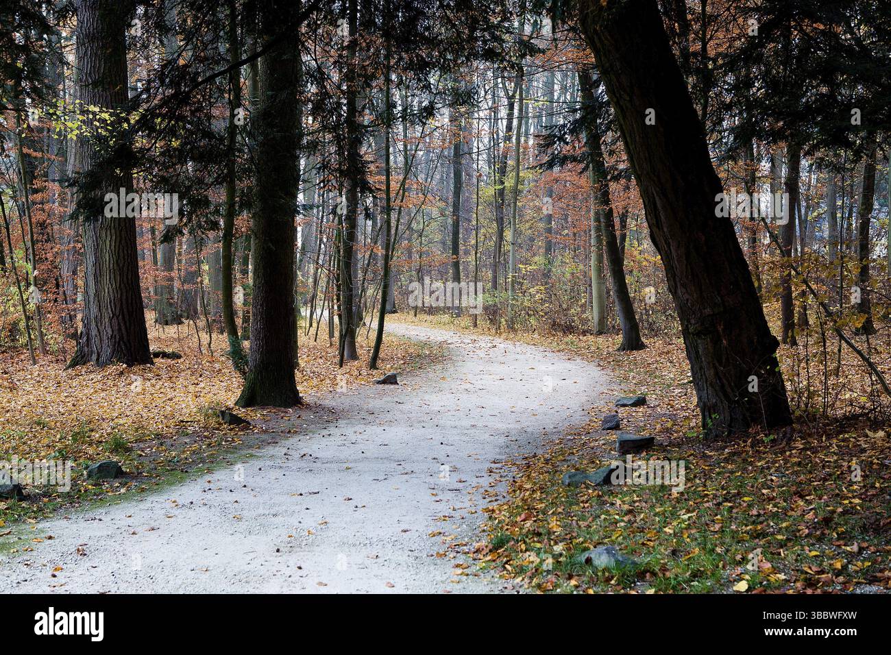 Schloss Rosenau bei Cobur in Deutschland. Der Geburtsort von Prinz Albert von Sachsen-Coburg und Gotha, dem Ehemann von Königin Victoria von Großbritannien und IRE Stockfoto