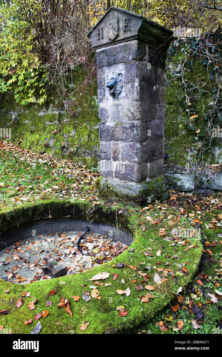 Schloss Rosenau bei Cobur in Deutschland. Der Geburtsort von Prinz Albert von Sachsen-Coburg und Gotha, dem Ehemann von Königin Victoria von Großbritannien und IRE Stockfoto