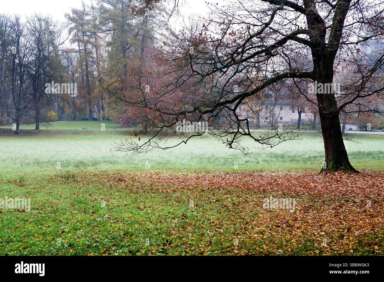 Schloss Rosenau bei Cobur in Deutschland. Der Geburtsort von Prinz Albert von Sachsen-Coburg und Gotha, dem Ehemann von Königin Victoria von Großbritannien und IRE Stockfoto