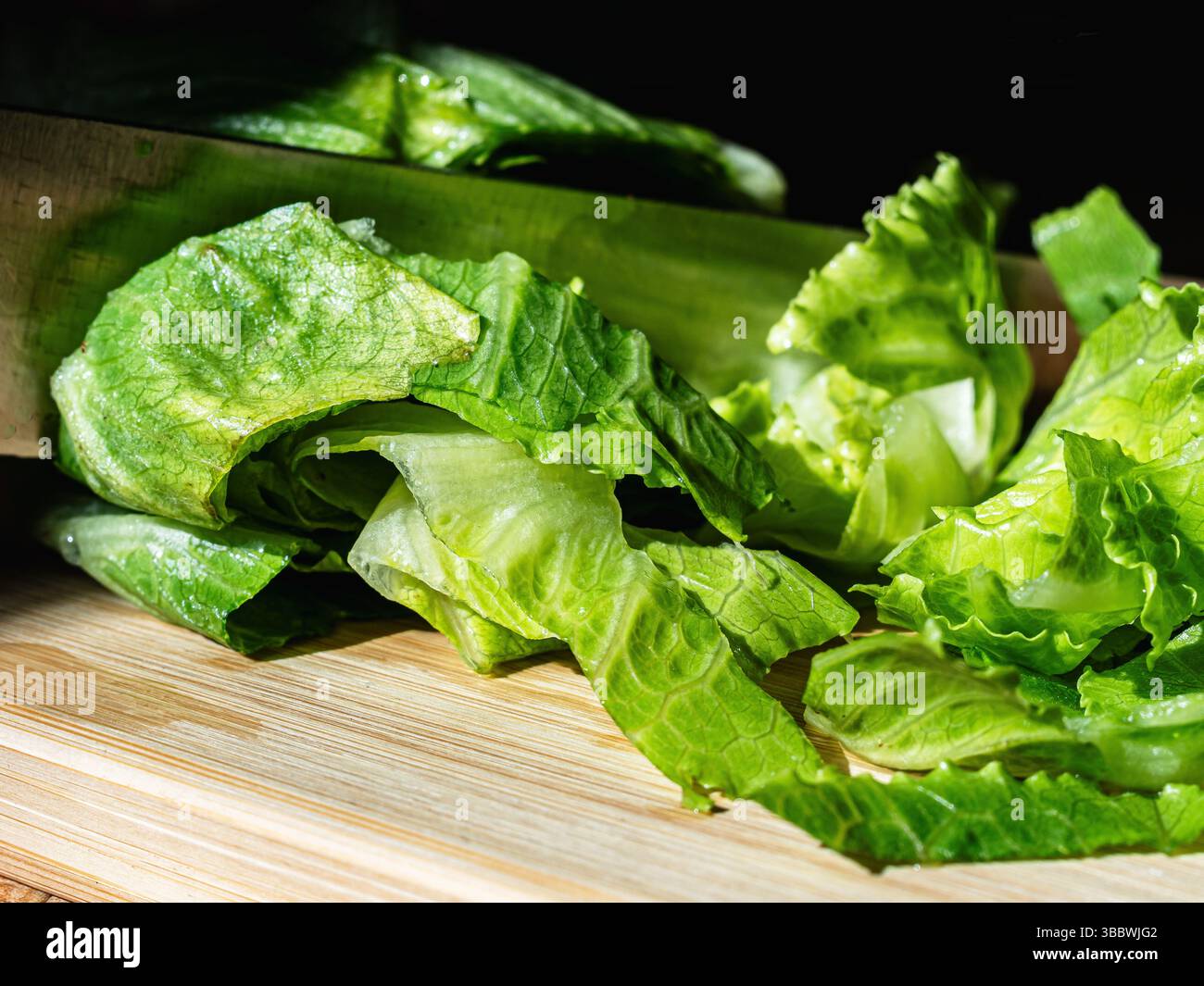 Das Schneiden frischer grüner Salatherzen direkt aus dem Garten, die Blätter sind knusprig und lebendig, bereit für die Verwendung in einem gesunden, hausgemachten Salat – das fängt den ein Stockfoto