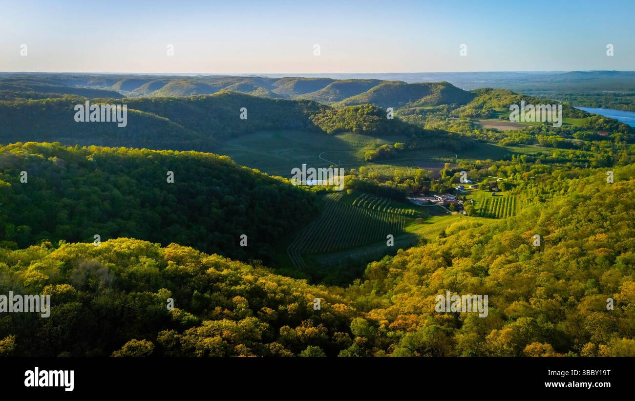 Aus der Vogelperspektive vom Apple Blossom Overlook Park mit sanften grünen Hügeln und Ackerland bei Sonnenuntergang mit goldenem Licht über die ländliche Landschaft von Wisconsin. Stockfoto