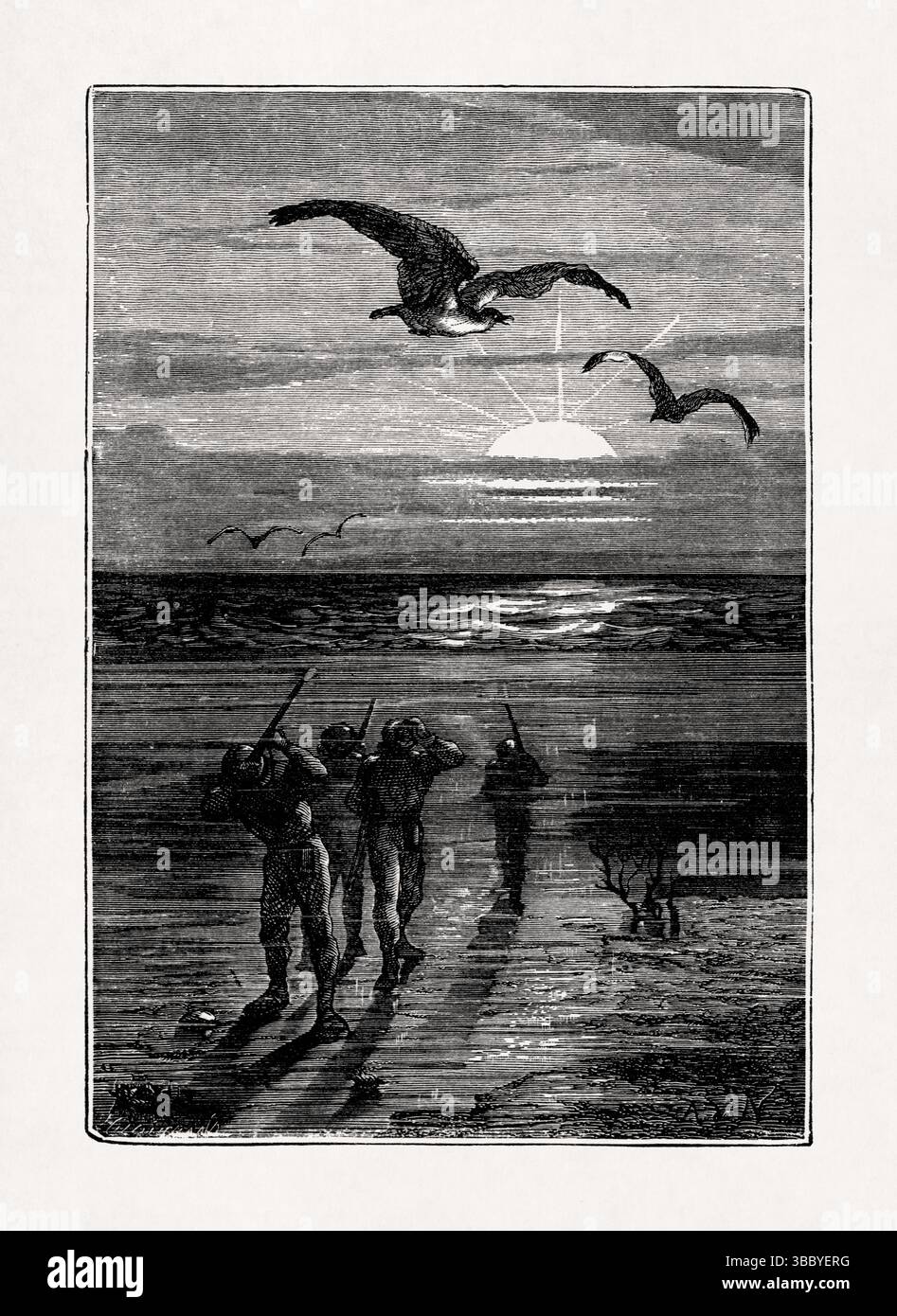 Illustration von Alphonse de Neuville mit einer Unterwasserjagd-Exkursion aus dem Buch „Twenty Twenty Thousand Leagues Unthe Seas“ von Jules Verne. Stockfoto