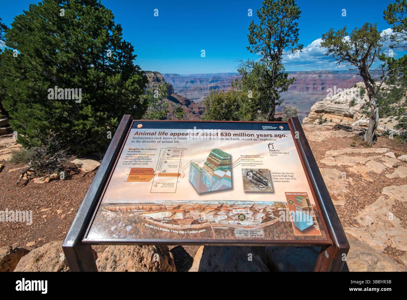 Informationstafel im Grand Canyon National Park, South Rim, Arizona, USA Stockfoto