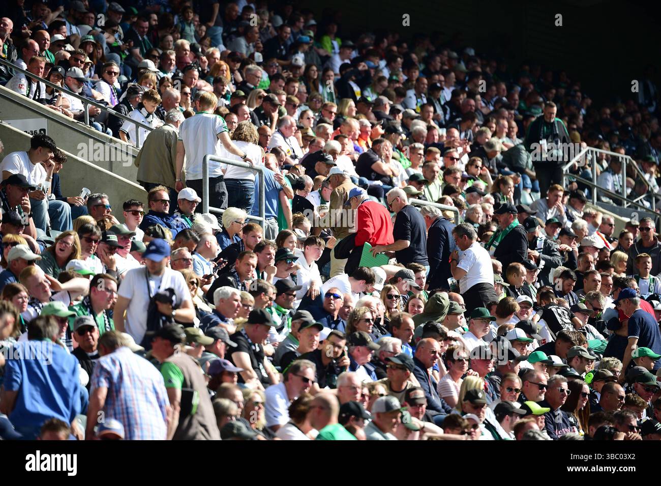 Mönchengladbach, Deutschland. Mai 2025. 17.05.2025; Mönchengladbach; Fussball, Herren, Saison 2024/2025, Borussia Mönchengladbach vs. VfL Wolfsburg die Zuschauer verliessen schon vor dem Schlusspfiff in Scharen das Stadion DFL-Vorschriften verbieten jede Verwendung von Fotografien als Bildsequenzen und/oder Quasi-Video. Gemaess den Vorgaben der DFL Deutsche Fussball Liga ist es untersagt, in dem Stadion und/oder vom Spiel angefertigte Fotoaufnahmen in Form von Sequenzbildern und/oder videoaehnlichen Fotostrecken zu verwerten bzw. Verwerten zu lassen Credit: dpa/Alamy Live News Stockfoto