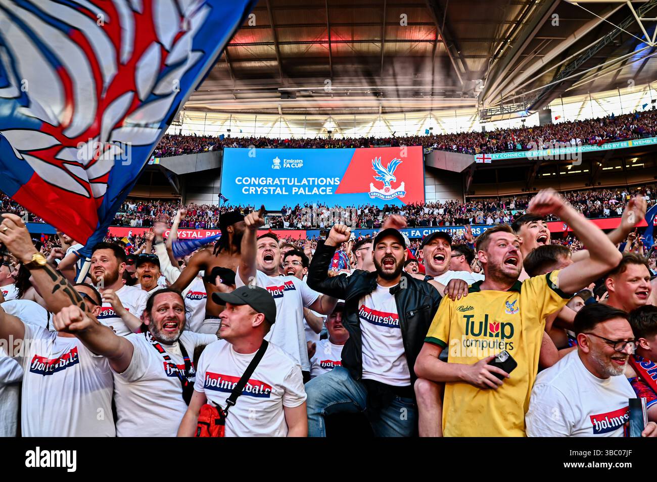 Crystal Palace Fans feiern den Sieg beim Finale des Emirates FA Cup zwischen Crystal Palace und Manchester City am Samstag, den 17. Mai 2025, im Wembley Stadium in London. (Foto: Kevin Hodgson | MI News) Credit: MI News & Sport /Alamy Live News Stockfoto