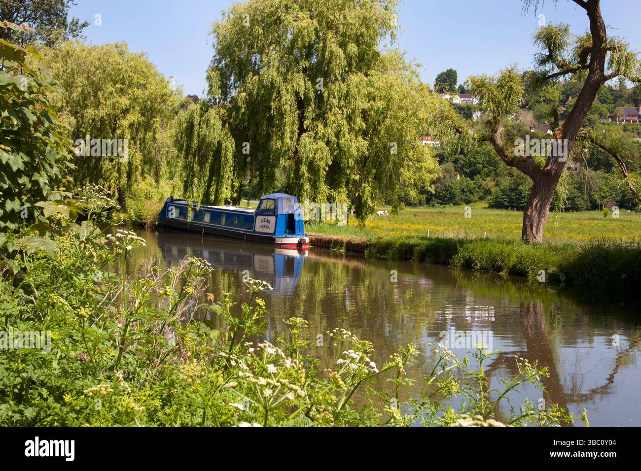 River Wey Schifffahrtskanal, Guildford, Surrey, England Stockfoto
