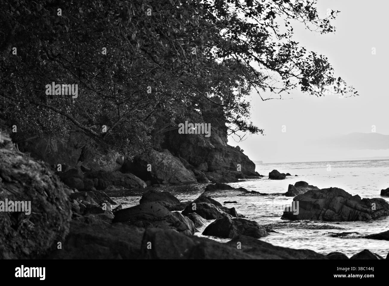 Neah Bay Küste Stockfoto