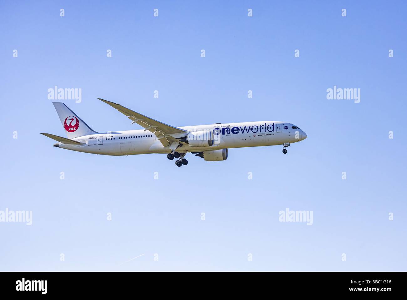 Fraport Airport in Frankfurt am Main. Flugzeug im Anflug. Luftfahrzeugkennzeichen: JA861J, Japan Airlines, Boeing 787-9 Dreamliner. Frankfurt A Stockfoto