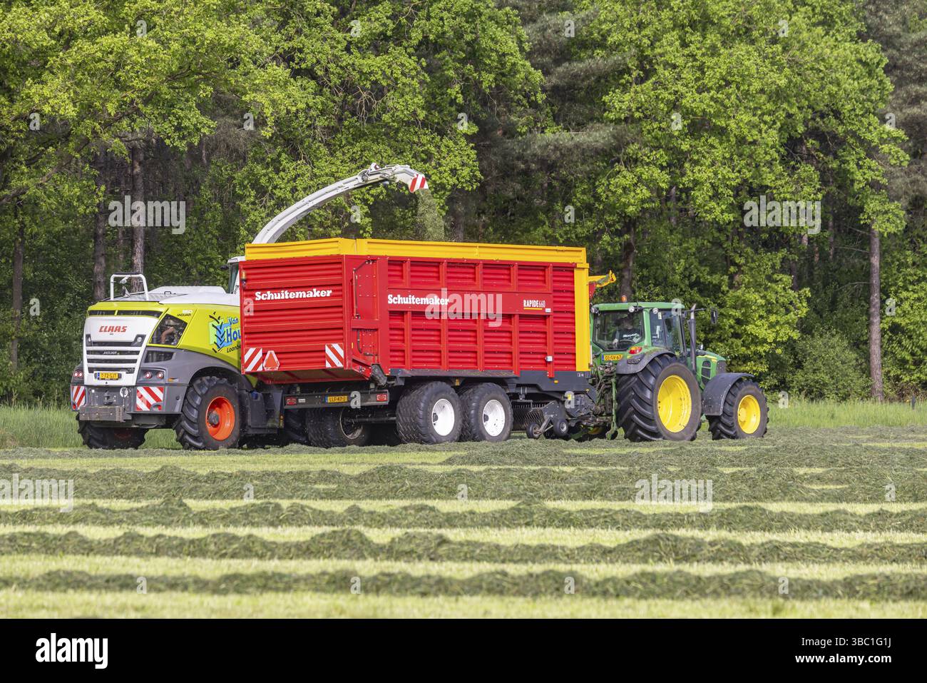 Landwirt mit VerladeSilage. Bauernhof in der Nähe von Bergeijk, Noord-Brabant, Niederlande Stockfoto