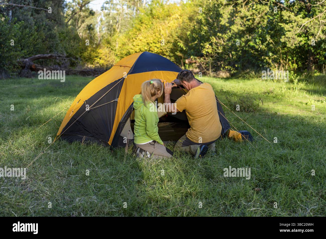 Abenteuerspaar, der ein Zelt im ruhigen Wald aufbaut Stockfoto
