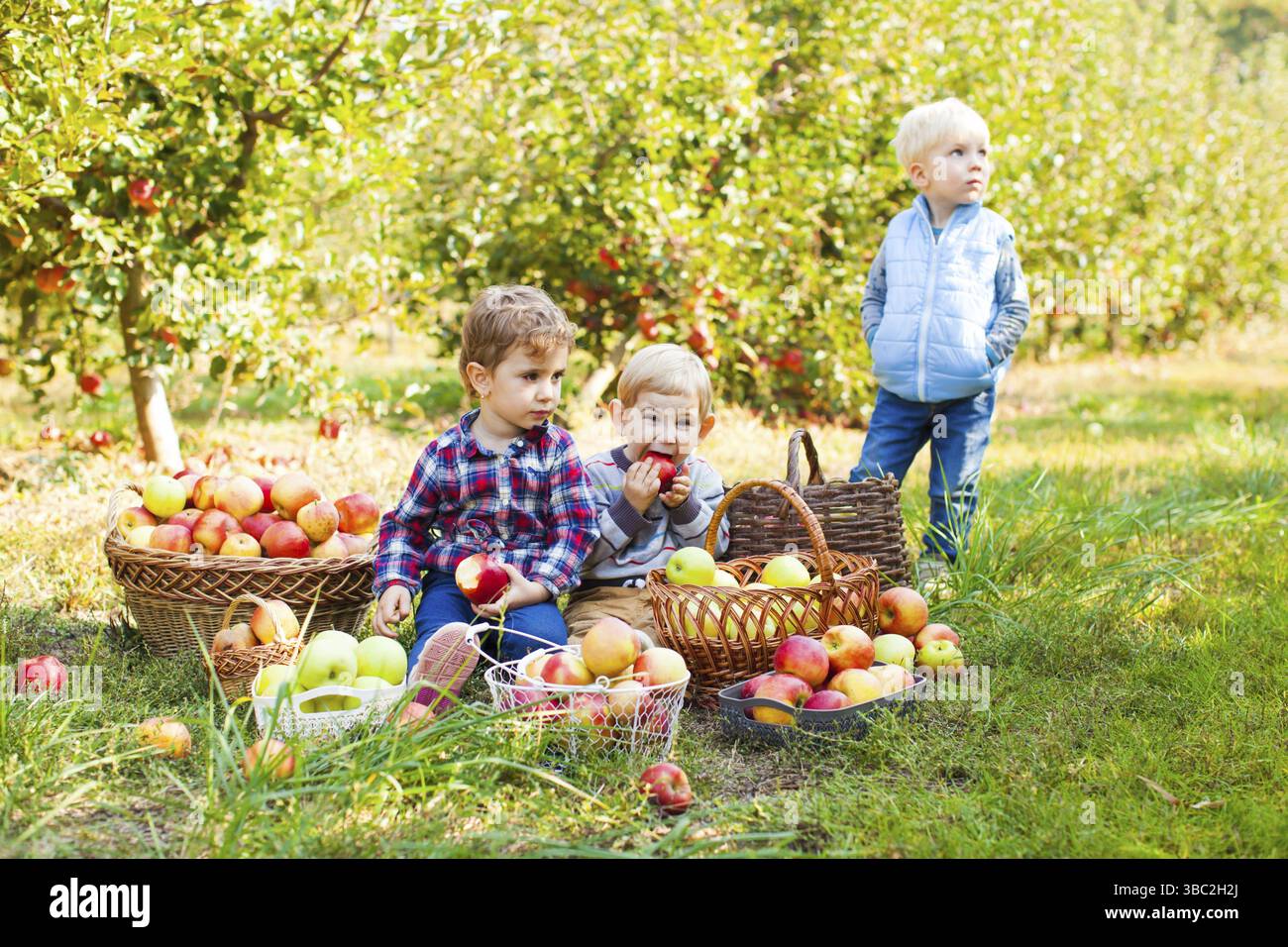 Cute 2-3 Jahre alte Kinder an der Exkursion auf der Farm. Vorschüler im Apple Garten Stockfoto