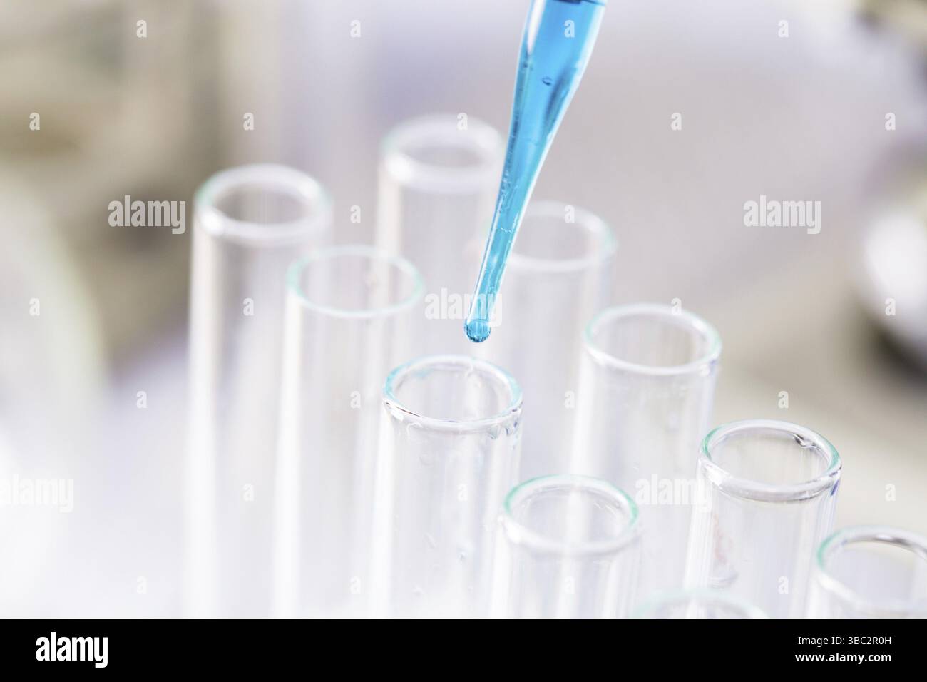 Die blauen Tropfen aus der Pipette im Labor Röhrchen Stockfoto