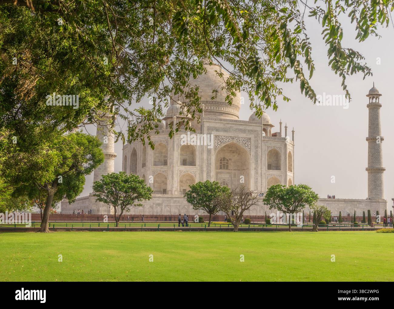 Blick auf das Taj Mahal durch üppige Gärten in Agra, Indien – Ein zeitloses Symbol der Liebe, umrahmt von Grün und Mogul-Eleganz. Stockfoto