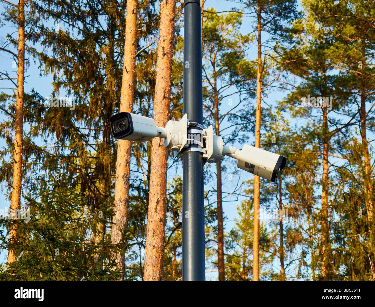 Mehrere Überwachungskameras am Pole im Waldgebiet montiert Stockfoto