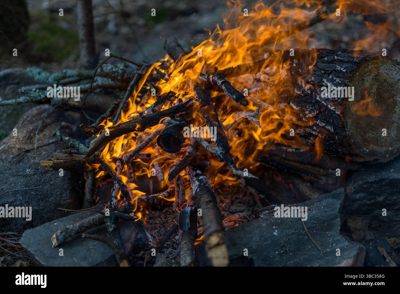 Ein brennendes Lagerfeuer im dunklen Wald Stockfoto