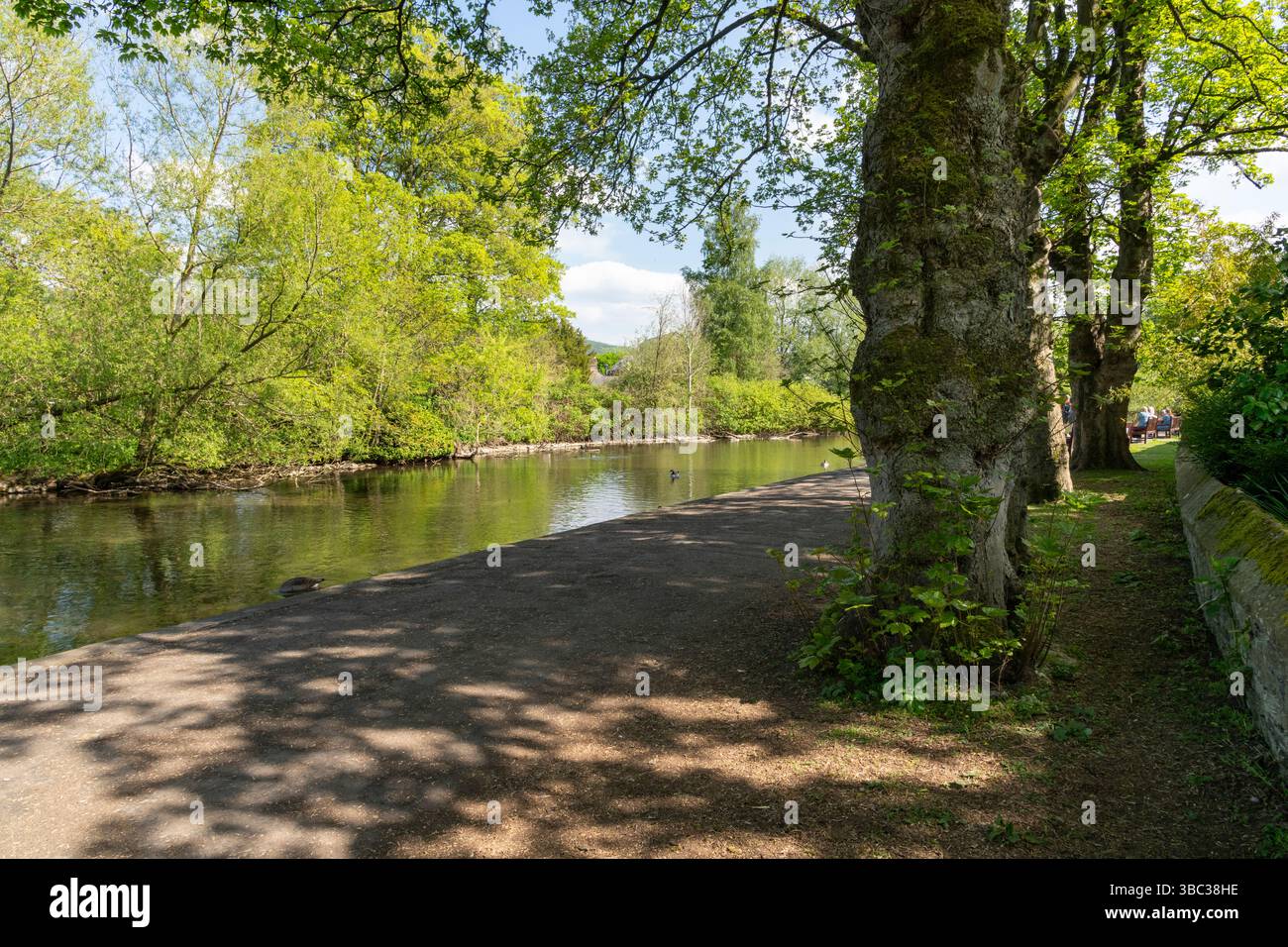 Riverside Walk in der Stadt Bakewell im Peak District, Derbyshire, England. Stockfoto