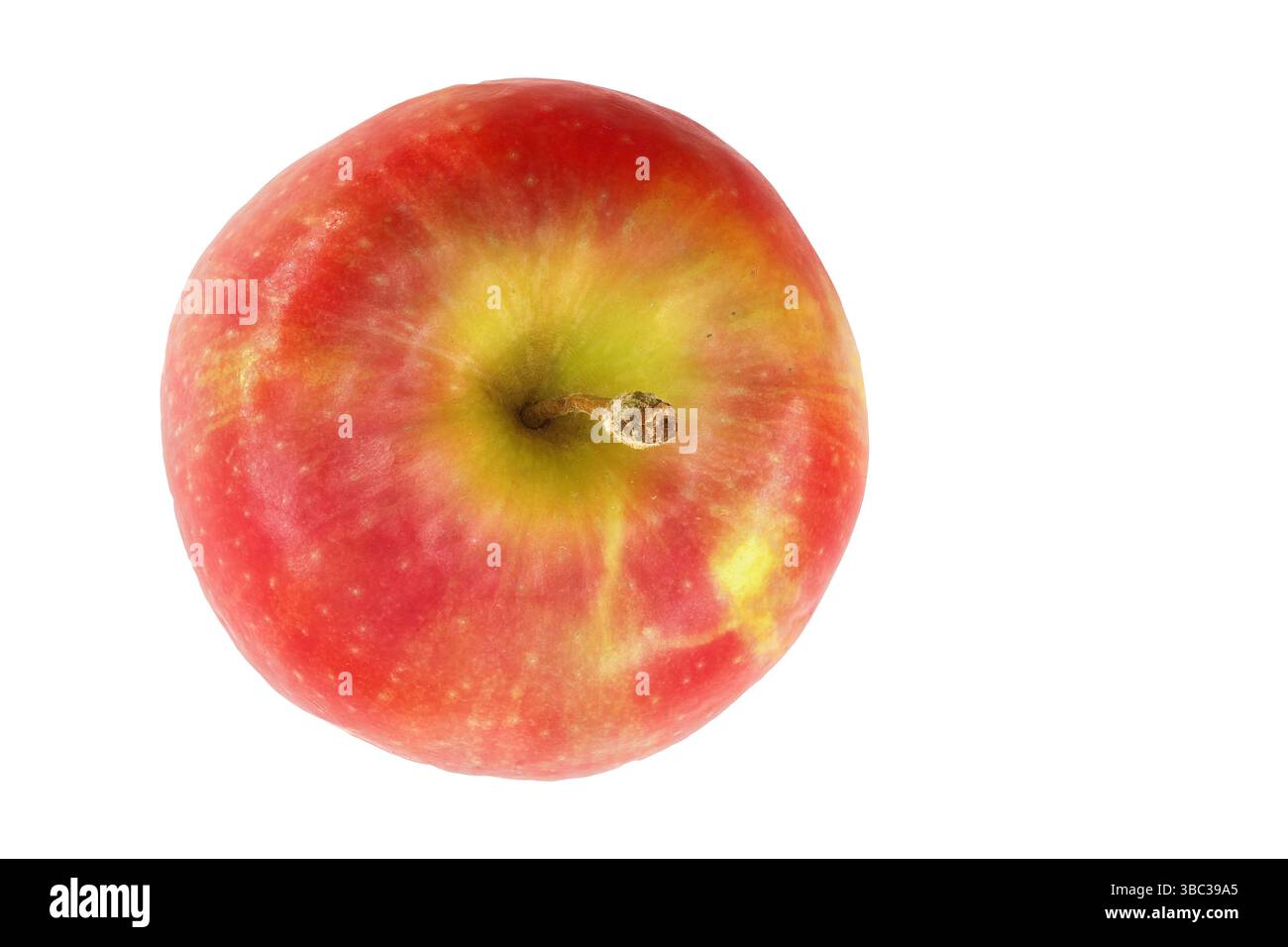 Ein hellroter Apfel mit gelben Anklängen liegt auf einer weißen Oberfläche und unterstreicht seine glänzende Haut und seine runde Form, die frisch und ansprechend für snac aussieht Stockfoto