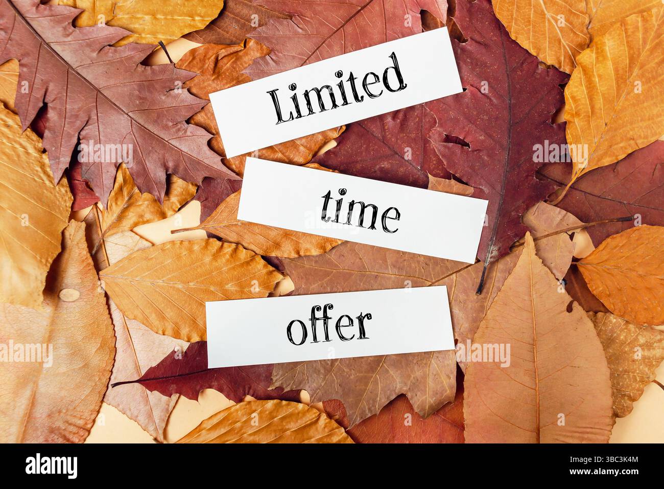 Herbstblatthaufen, auf denen die Worte zeitlich begrenztes Angebot geschrieben sind. Das Konzept der Dringlichkeit und Begeisterung Stockfoto