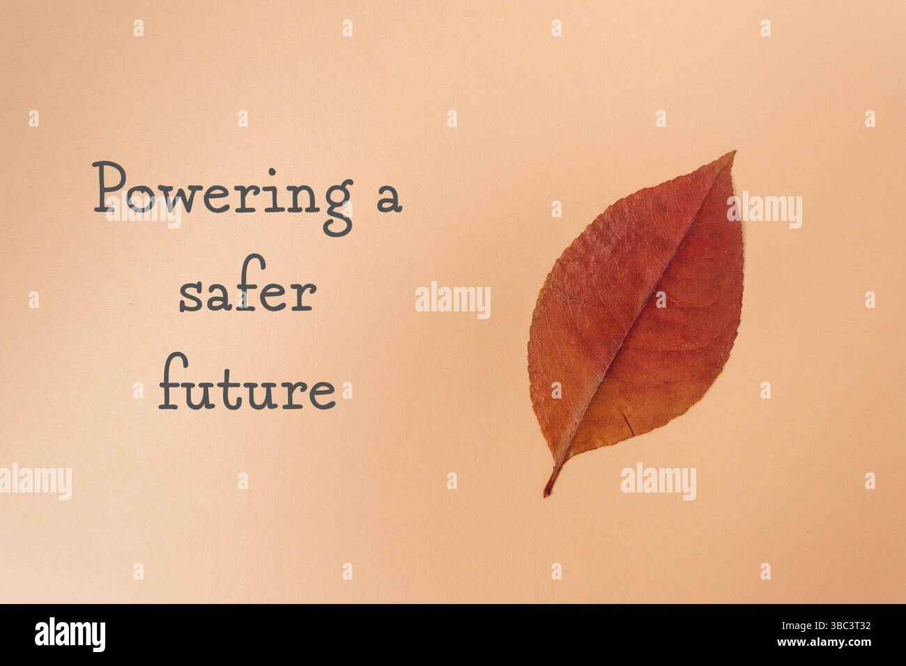 Das Blatt wird auf einem hellbraunen Hintergrund dargestellt, darunter stehen die Worte „Powered a Safer Future“ Stockfoto