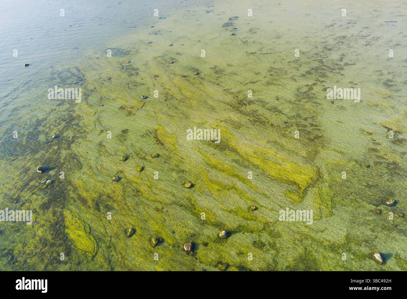 Estnische Natur: Aus der Vogelperspektive auf einen ruhigen Ostseeschwarm mit kristallklarem Wasser und untergetauchten Felsen. Stockfoto