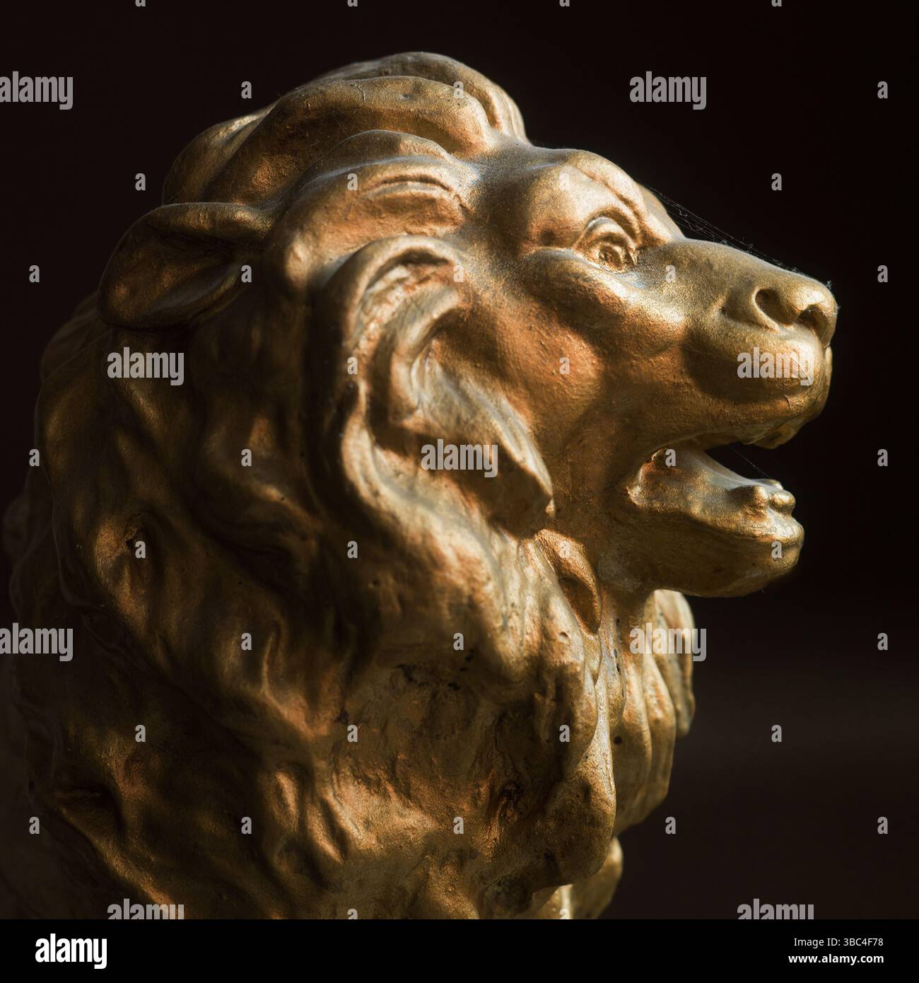 Eine Löwenkopf-Skulptur besticht durch ihre detaillierte Mähne und ihre ausdrucksstarken Merkmale. Es fängt das Wesen von Stärke und Majestät mit einem goldenen Farbton und ein Stockfoto