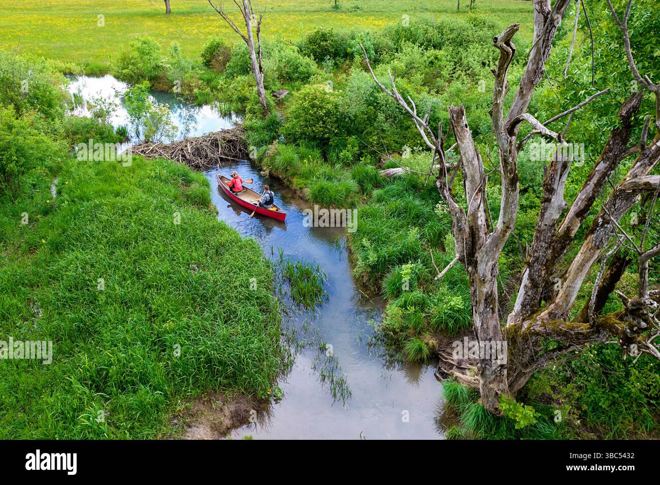 Ein Paar paddelt auf einem Kanu und hält am spektakulären Biberdamm an einem kleinen Bach in der Nähe des Flusses krka in dolenjska, dolenjske toplice, slowenien Stockfoto