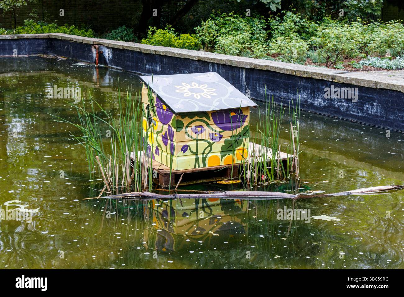 Ein schwimmender Holzunterstand wurde für zwei Mallard-Enten namens Peggy und Bill gebaut, die den Peace Garden im Elthorne Park, Islington, London, besuchen Stockfoto