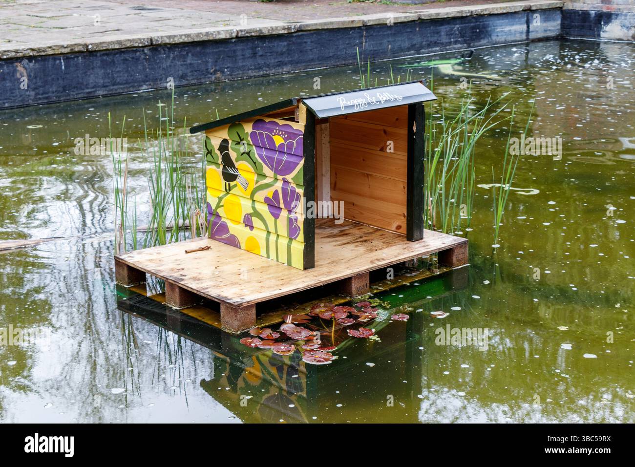 Ein schwimmender Holzunterstand wurde für zwei Mallard-Enten namens Peggy und Bill gebaut, die den Peace Garden im Elthorne Park, Islington, London, besuchen Stockfoto