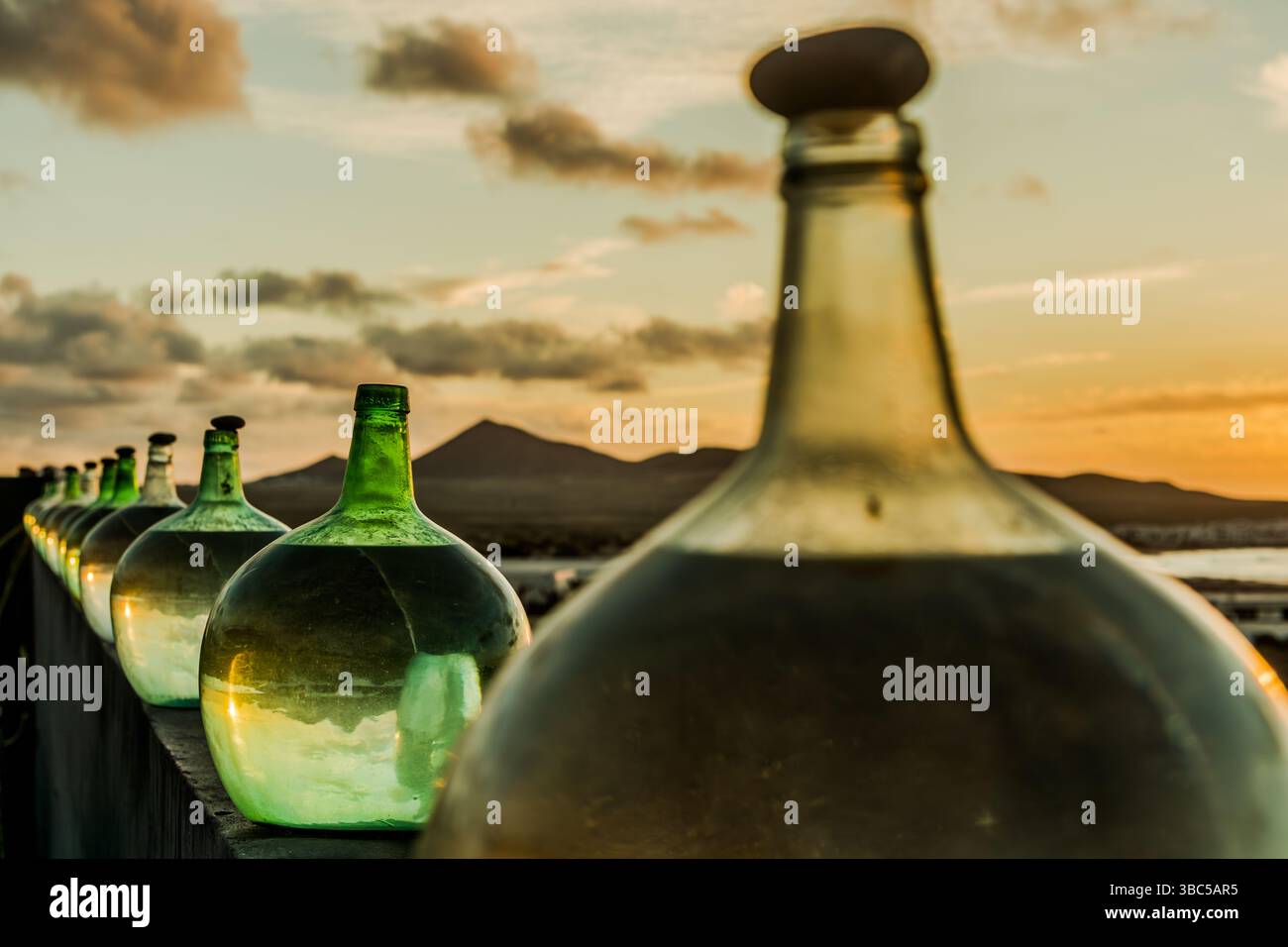 Reihe von Ballons mit grünem Wein auf Lanzarote bei Sonnenuntergang. Bei der traditionellen halboffenen Gärung schützt ein Stein den Wein vor Kontamination. Calle Chirimoya, Urbanización Famara, Canarias, Spanien Stockfoto