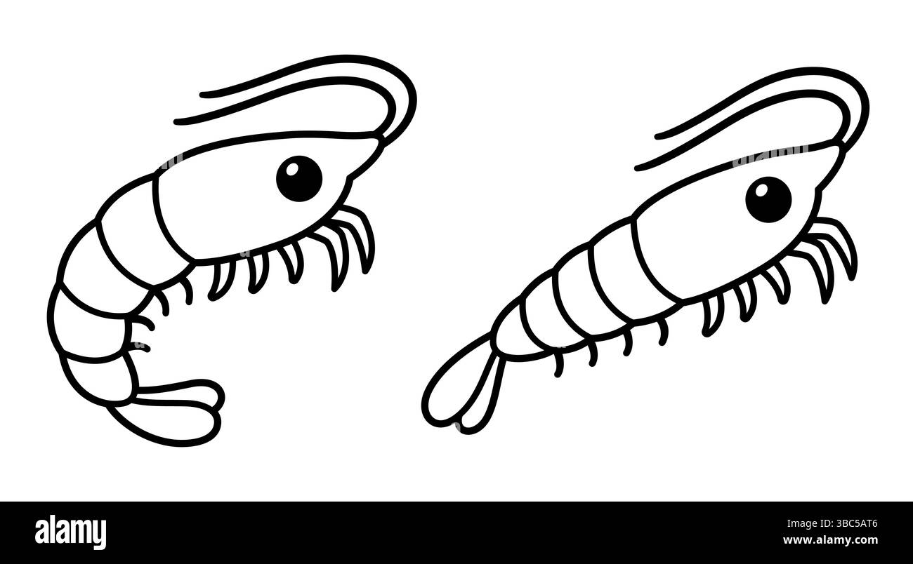 Niedliche Zeichentrick-Garnelen-Zeichnung. Schwarz-weiße Strichgrafik, einfache handgezeichnete Kritzelvektorillustration. Stock Vektor
