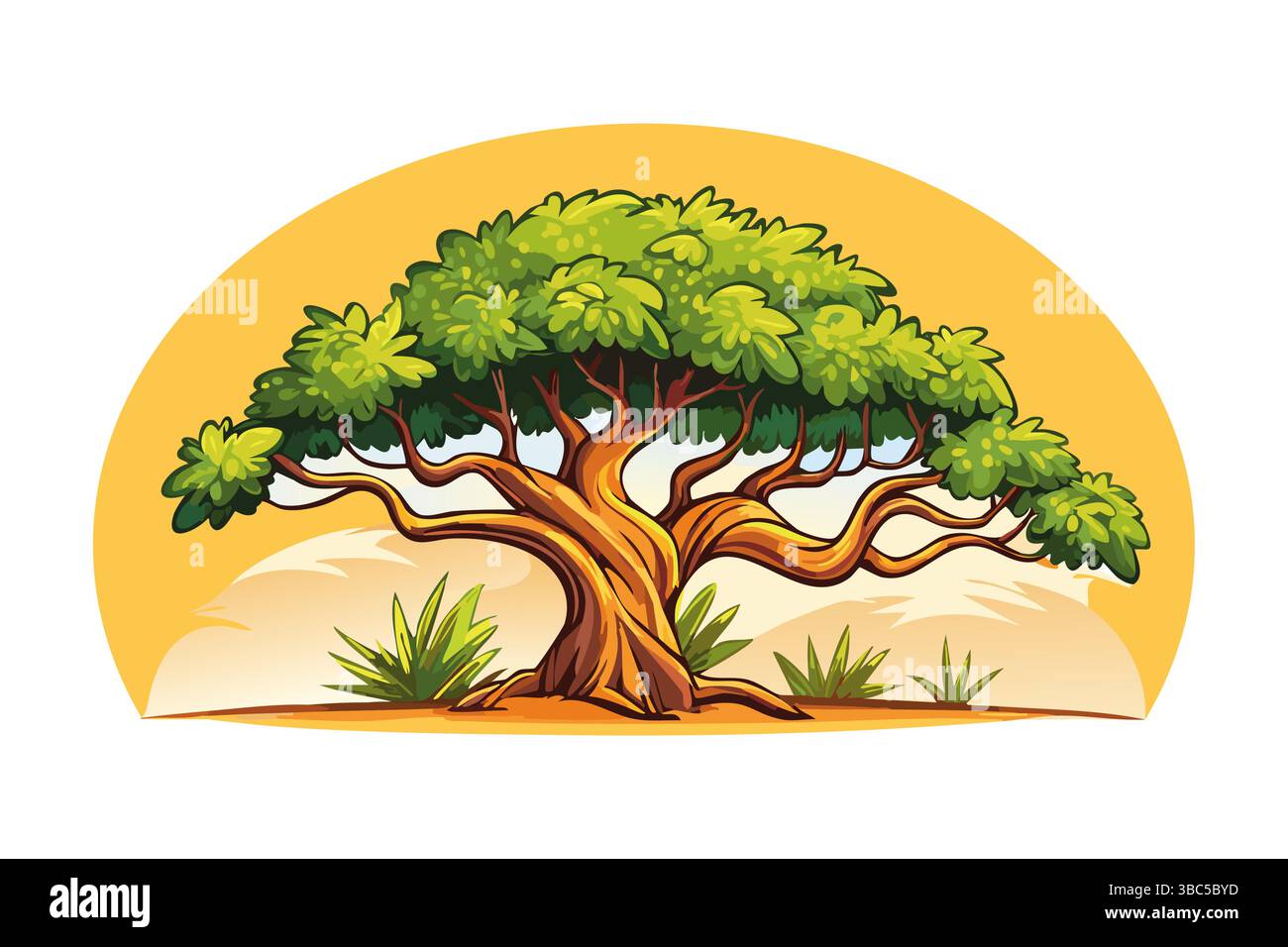 Farbenfrohe Akazienbaum-Ikone. Afrikanisches Logo, Natur, exotische Pflanze für Druck, Design oder digitale Kunst. Clipart-Symbol isoliert auf weißem Hintergrund Stock Vektor