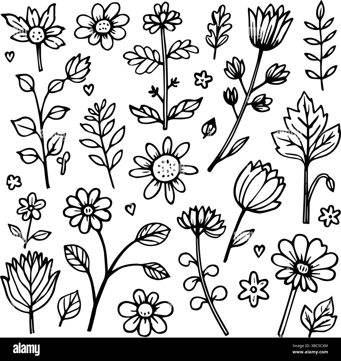 Handgezeichnete Botanische Illustrationen Schwarzweiß-Blumenskizzen Stock Vektor