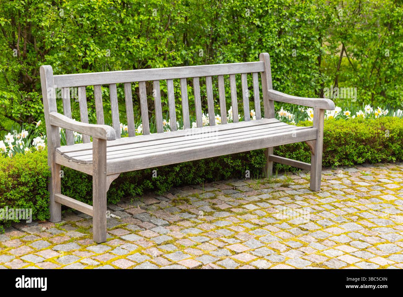 Holzbank in einem ruhigen Garten mit üppigem Grün, Narzissen und Kopfsteinpflasterboden, die eine friedliche Atmosphäre im Freien schaffen Stockfoto