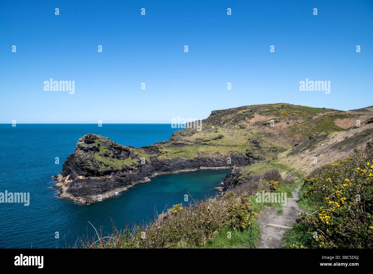 Der South West Coast Path in der Nähe von Boscastle in Cornwall, England, UK Stockfoto