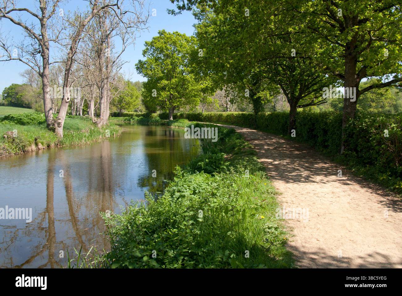 Wey South Path am Wey and Arun Kanal südlich der Loxwood Schleusen, Billingshurst, Surrey, England Stockfoto