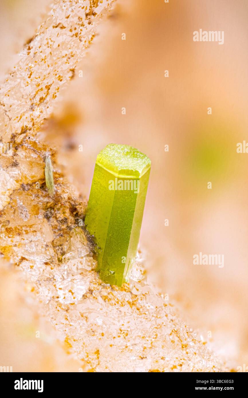 Pyromorphitkristalle. Exemplar aus Le Passadou, Altier, Frankreich. Mikrofotografie extreme Nahaufnahme. Mikroskop-Mineralkristalle für Stockfoto