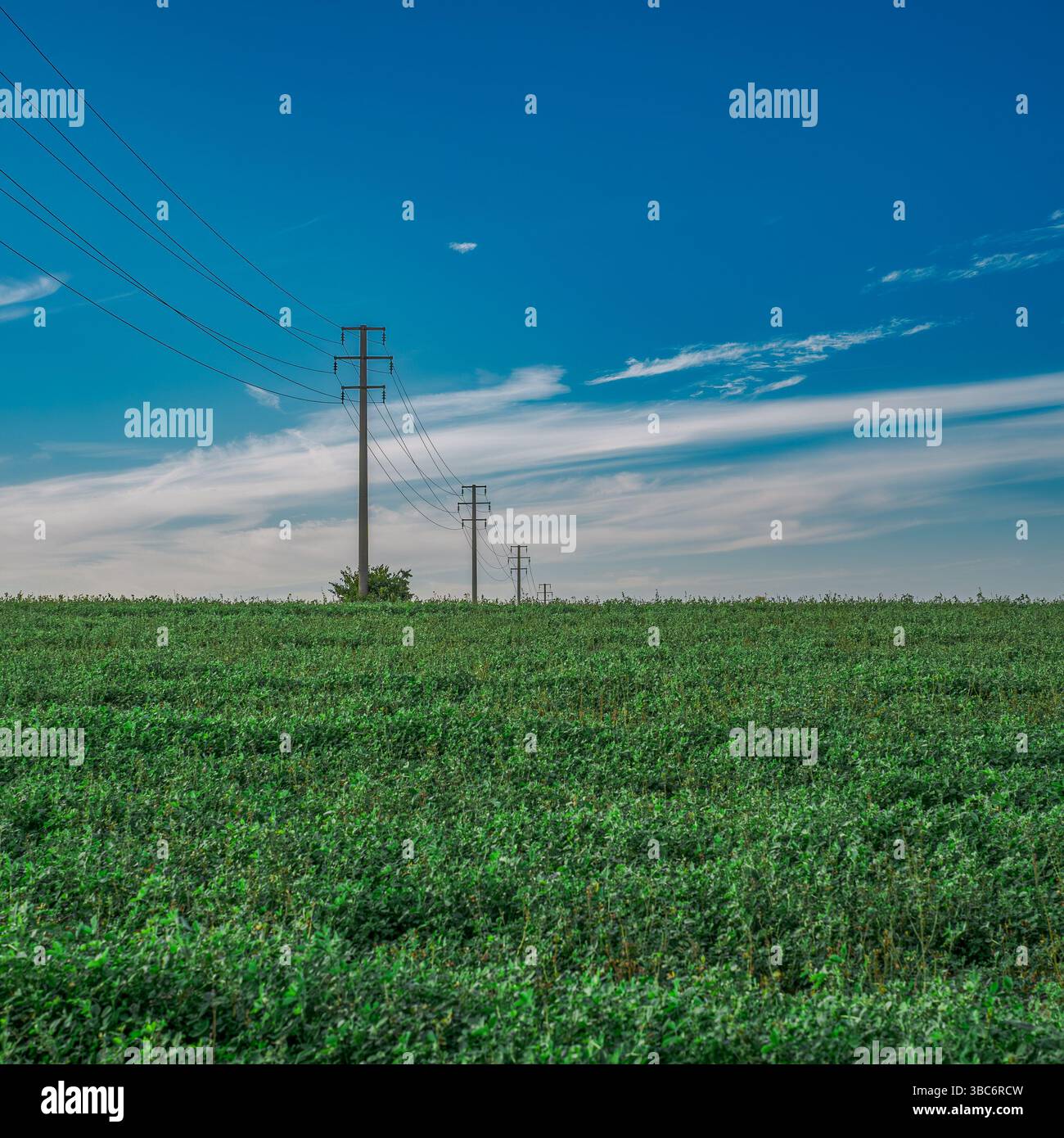 Stromkonzept: Stromleitung über eine grüne Wiese und gegen einen blauen Himmel. Castelmaggiore, Metropolitan City of Bologna, Emilia-Romagna, Italien Stockfoto