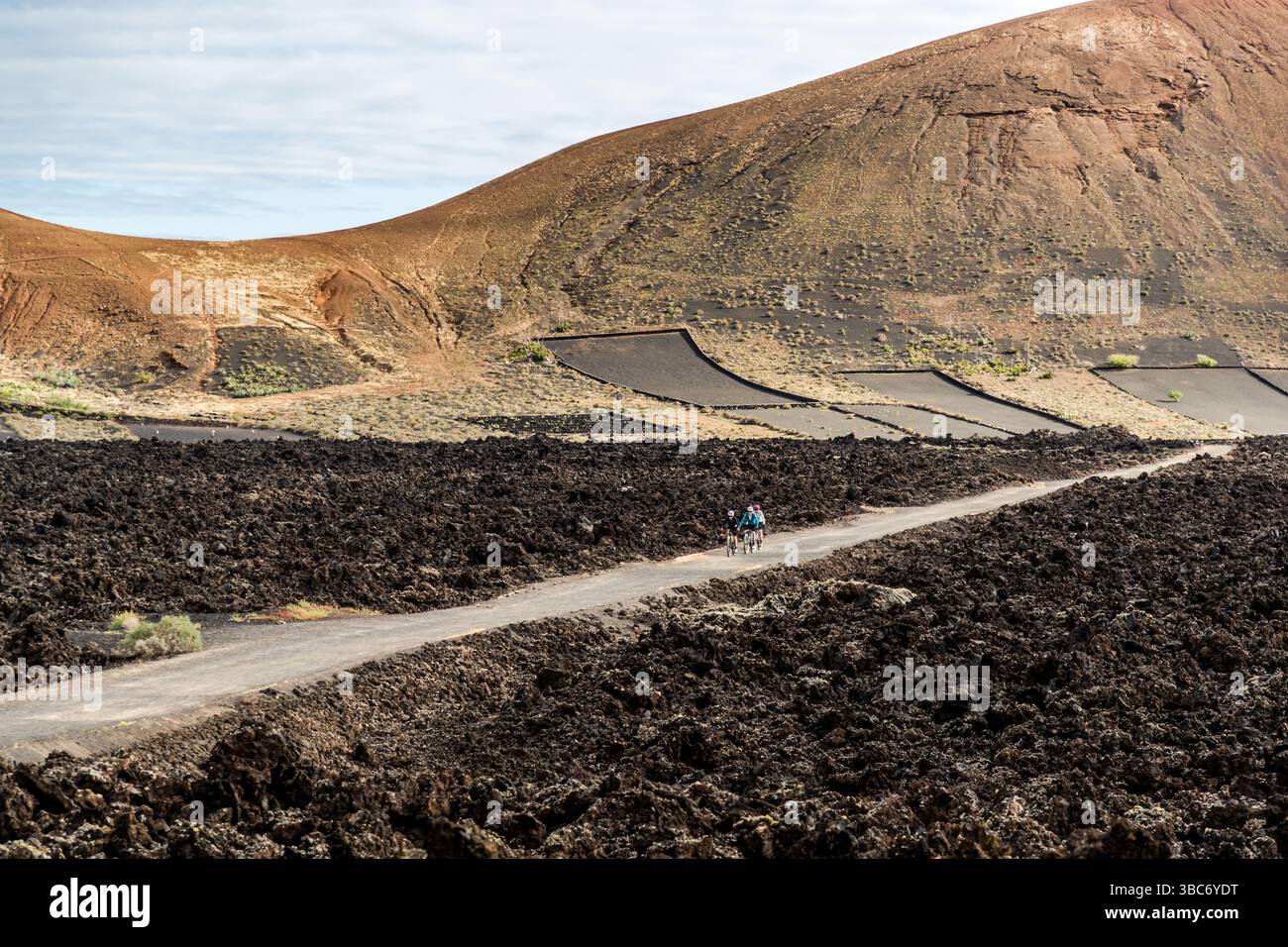 Drei Radfahrer fahren auf einer Straße durch die Vulkanlandschaft von Mancha Blanca auf Lanzarote. Die Straße führt durch eine Region aus Lavagegestein und Terrassenfeldern. Die Aktivität zeigt die Erkundung der einzigartigen Landschaft. Mancha Blanca, Kanarische Inseln, Spanien Stockfoto