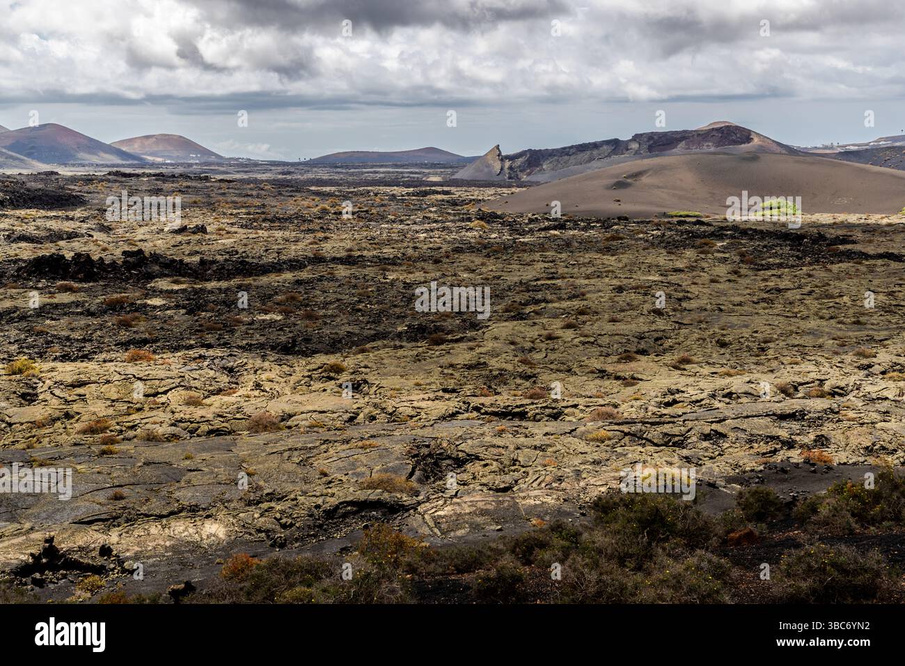 Vulkanisches Gelände auf Lanzarote mit zerklüftetem Lavaband und kleinen Pflanzen. Mancha Blanca, Kanarische Inseln, Spanien Stockfoto