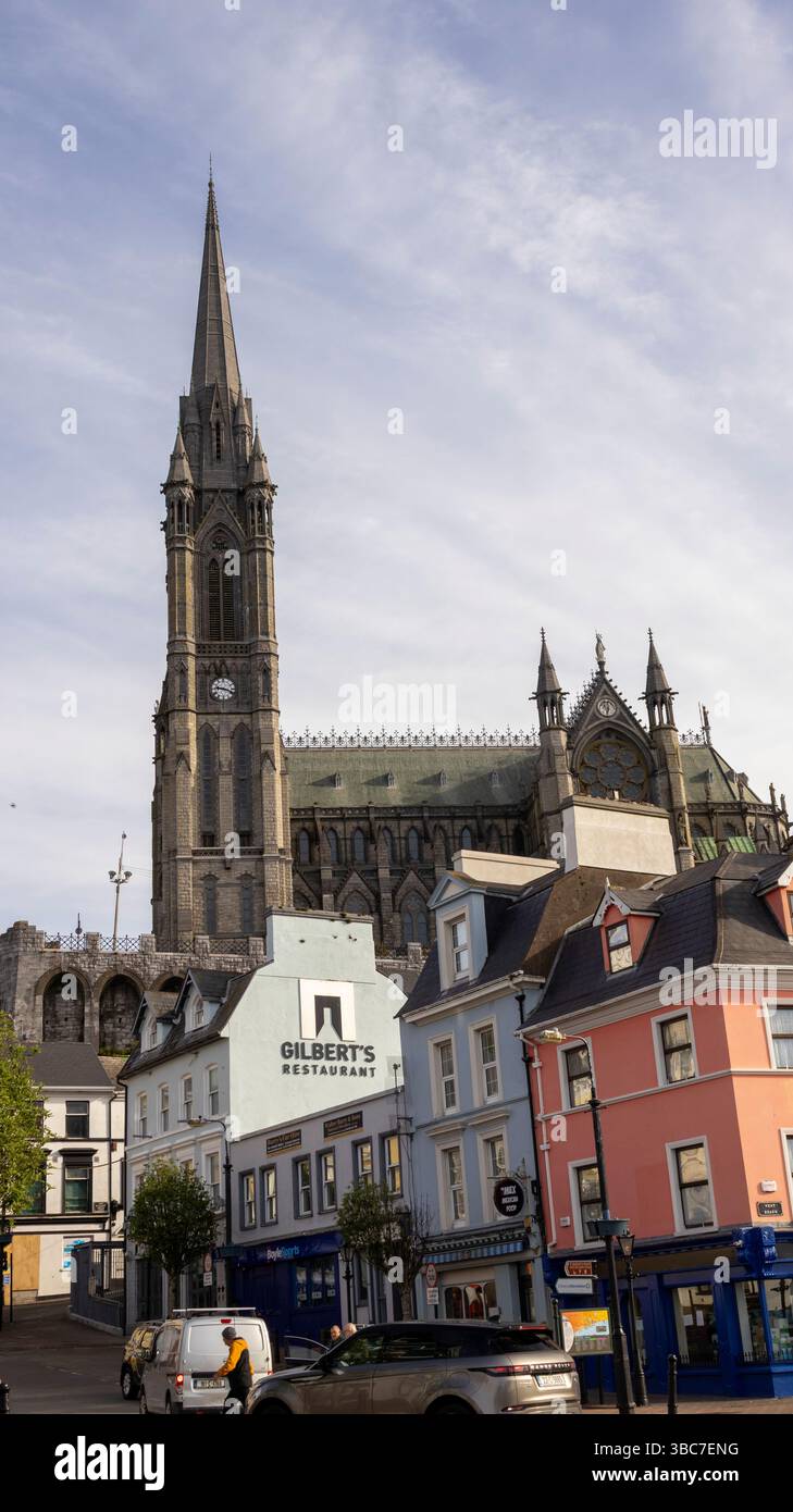 St. Colmans Cathedral, Stockfoto