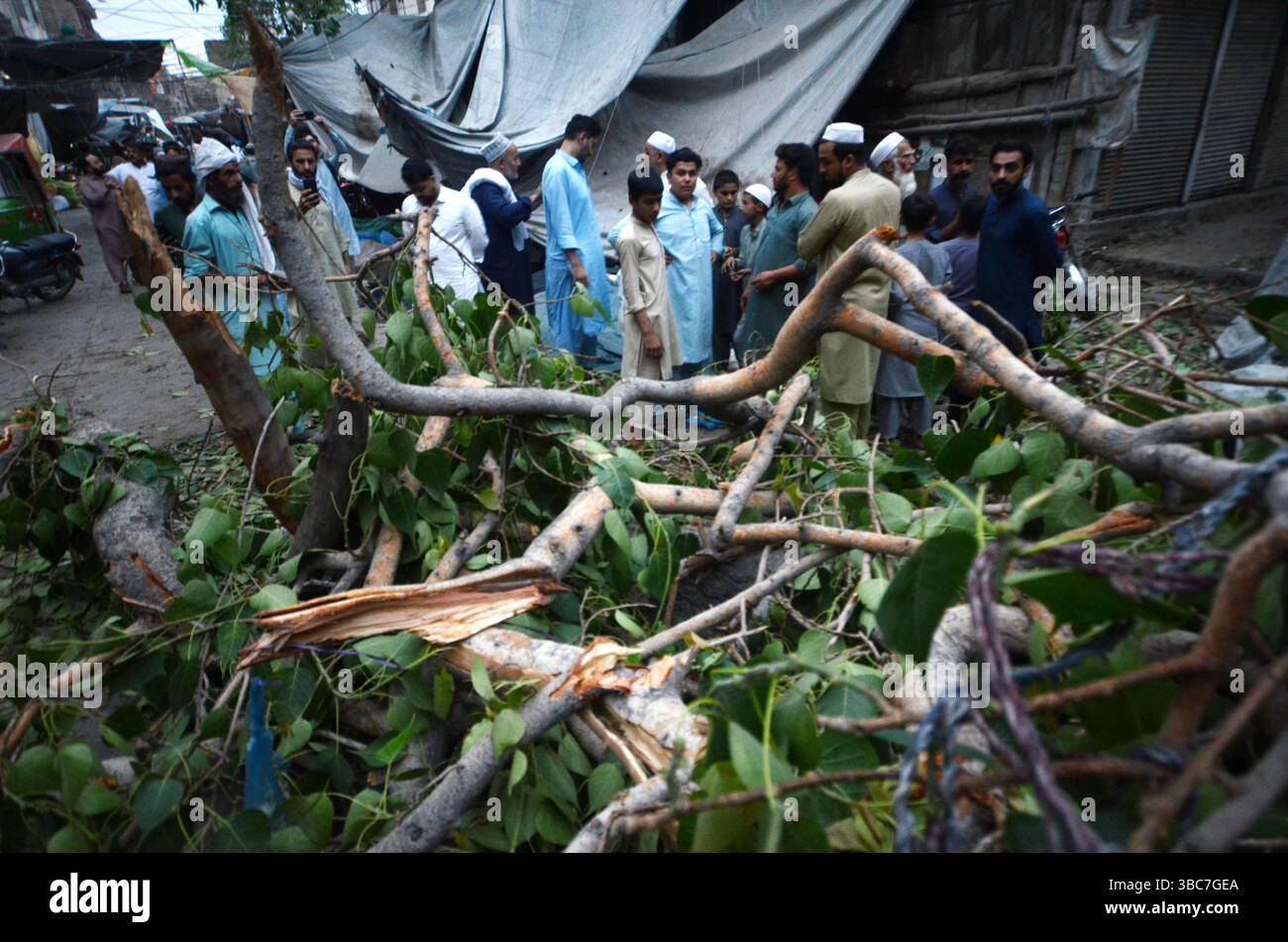 Peshawar, Peshawar, Pakistan. Mai 2025. PESHAWAR, PAKISTAN - 18. MAI: Ein schwerer Sturm ereignete sich am Sonntag, 18. MAI 2025 in der pakistanischen Stadt Peschawar.aufgrund des Sturms, während mehrere Bäume und Stromanschlüsse gestürzt wurden, fielen einige Dächer von Häusern herunter. Mindestens zwei Menschen wurden getötet und vier weitere verletzt, nachdem ein heftiger Sturm mehrere Jahrhunderte alte Bäume aus der Mogul-Ära entwurzelte. Der Sturm verursachte erhebliche Schäden an der Infrastruktur, was Bedenken hinsichtlich der Erhaltung des städtischen anc aufkommen ließ Stockfoto
