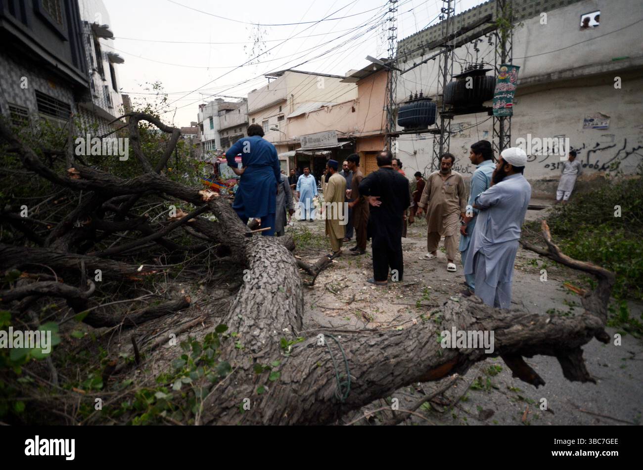 Peshawar, Peshawar, Pakistan. Mai 2025. PESHAWAR, PAKISTAN - 18. MAI: Ein schwerer Sturm ereignete sich am Sonntag, 18. MAI 2025 in der pakistanischen Stadt Peschawar.aufgrund des Sturms, während mehrere Bäume und Stromanschlüsse gestürzt wurden, fielen einige Dächer von Häusern herunter. Mindestens zwei Menschen wurden getötet und vier weitere verletzt, nachdem ein heftiger Sturm mehrere Jahrhunderte alte Bäume aus der Mogul-Ära entwurzelte. Der Sturm verursachte erhebliche Schäden an der Infrastruktur, was Bedenken hinsichtlich der Erhaltung des städtischen anc aufkommen ließ Stockfoto