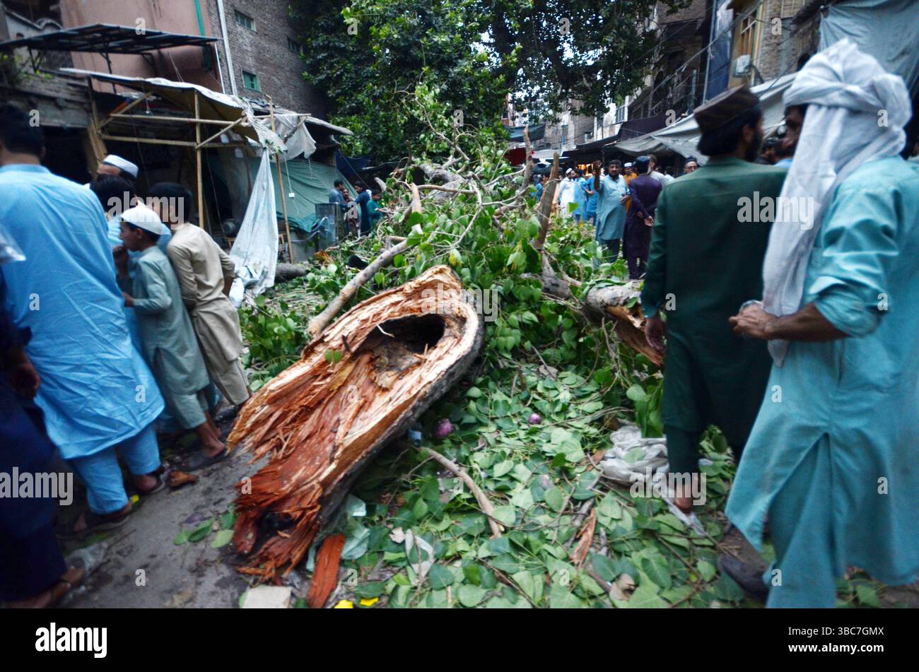 Peshawar, Peshawar, Pakistan. Mai 2025. PESHAWAR, PAKISTAN - 18. MAI: Ein schwerer Sturm ereignete sich am Sonntag, 18. MAI 2025 in der pakistanischen Stadt Peschawar.aufgrund des Sturms, während mehrere Bäume und Stromanschlüsse gestürzt wurden, fielen einige Dächer von Häusern herunter. Mindestens zwei Menschen wurden getötet und vier weitere verletzt, nachdem ein heftiger Sturm mehrere Jahrhunderte alte Bäume aus der Mogul-Ära entwurzelte. Der Sturm verursachte erhebliche Schäden an der Infrastruktur, was Bedenken hinsichtlich der Erhaltung des städtischen anc aufkommen ließ Stockfoto