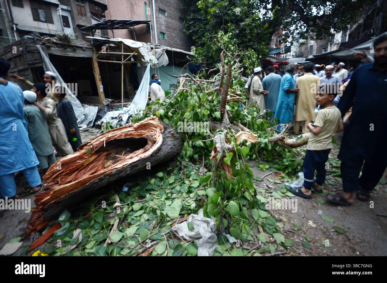 Peshawar, Peshawar, Pakistan. Mai 2025. PESHAWAR, PAKISTAN - 18. MAI: Ein schwerer Sturm ereignete sich am Sonntag, 18. MAI 2025 in der pakistanischen Stadt Peschawar.aufgrund des Sturms, während mehrere Bäume und Stromanschlüsse gestürzt wurden, fielen einige Dächer von Häusern herunter. Mindestens zwei Menschen wurden getötet und vier weitere verletzt, nachdem ein heftiger Sturm mehrere Jahrhunderte alte Bäume aus der Mogul-Ära entwurzelte. Der Sturm verursachte erhebliche Schäden an der Infrastruktur, was Bedenken hinsichtlich der Erhaltung des städtischen anc aufkommen ließ Stockfoto